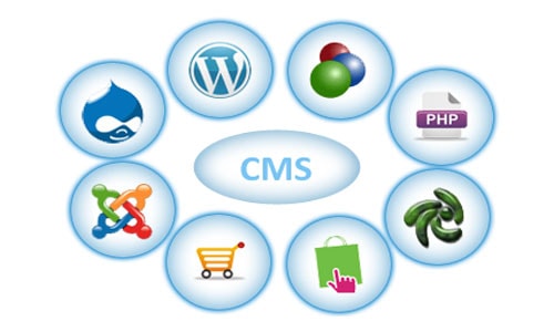 website development company in udaipur